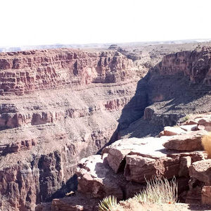 Meet your Posher, Kortney